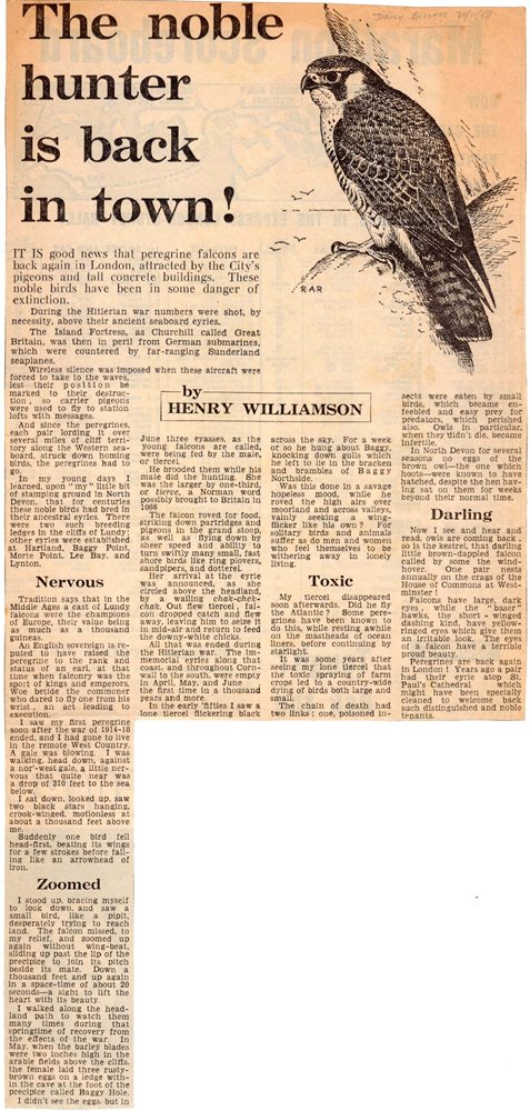 peregrine timeline 7 Daily Express 1968 copy