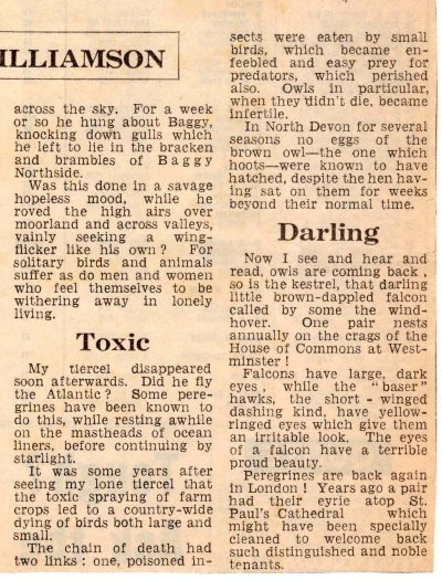 peregrine timeline 7b Daily Express 1968