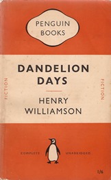 dandelion days penguin1950