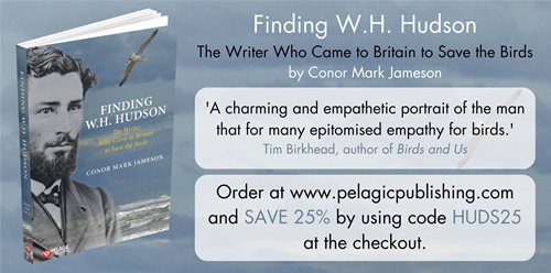 Finding W.H. Hudson   Discount copy