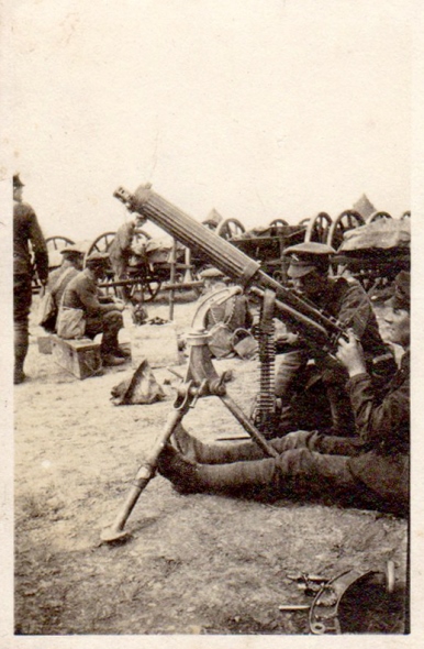 LL 208MGCa