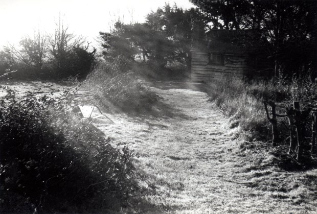 survivor 10Path down to Hut 1966