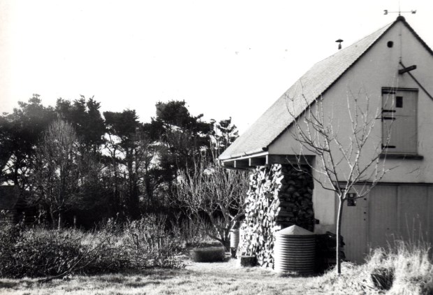 survivor 6Studio