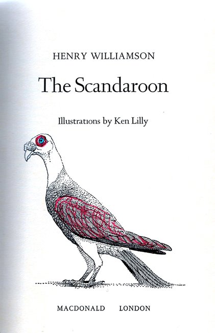 scandoon 2b handcoloured by HW