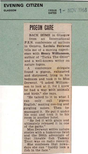 scandoon 35 1968 item