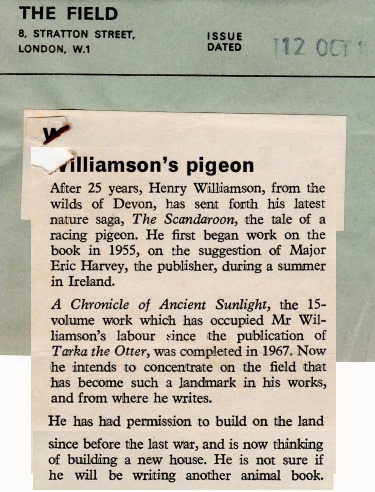 scandoon 39c misc copy