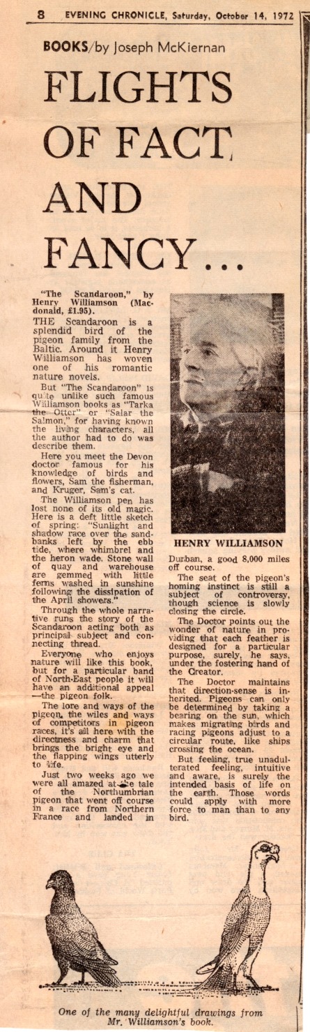 scandoon 40 Evening Chronicle