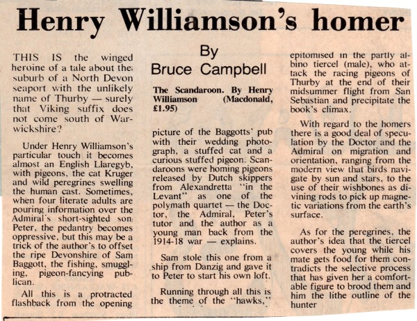 scandoon 41 Oxford Mail