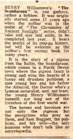 scandoon 42 Daily Telegraph