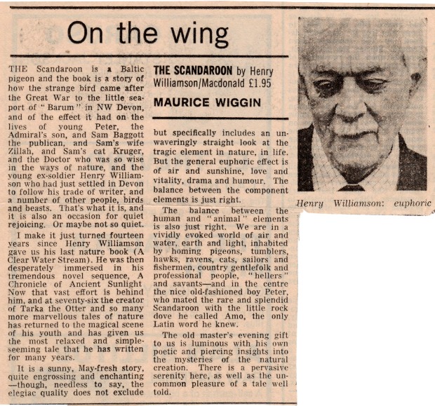 scandoon 43 Sunday Times