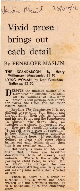 scandoon 44 Western Mail