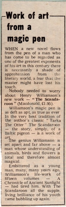 scandoon 49 Evening Gazette