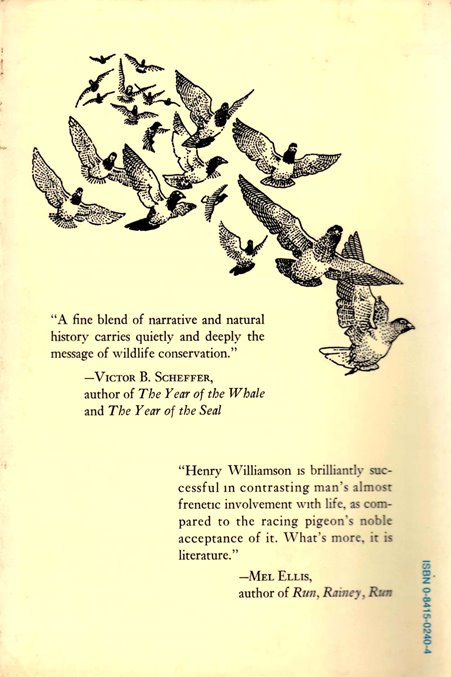 scandoon 4 US back cover