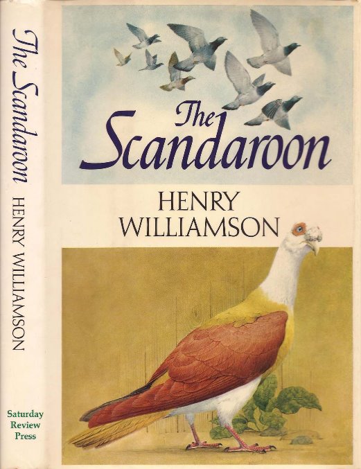 scandoon 4a US front cover