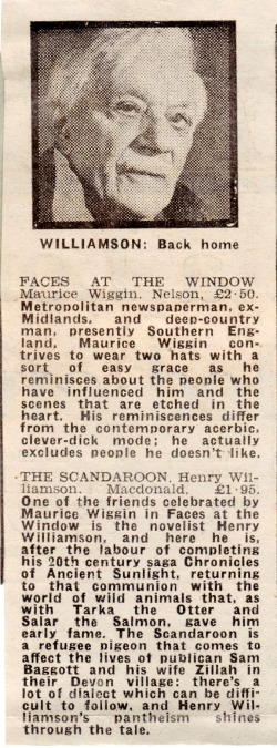 scandoon 52 Evening Standard