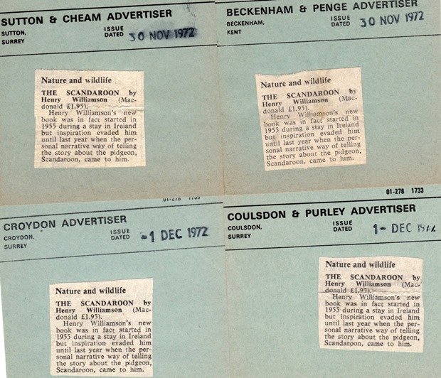 scandoon 53 4 pidgeon posts