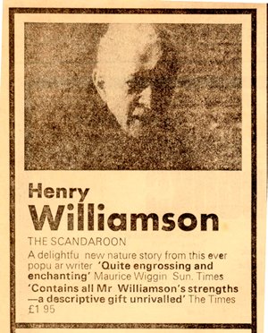 scandoon 55 Sunday Times