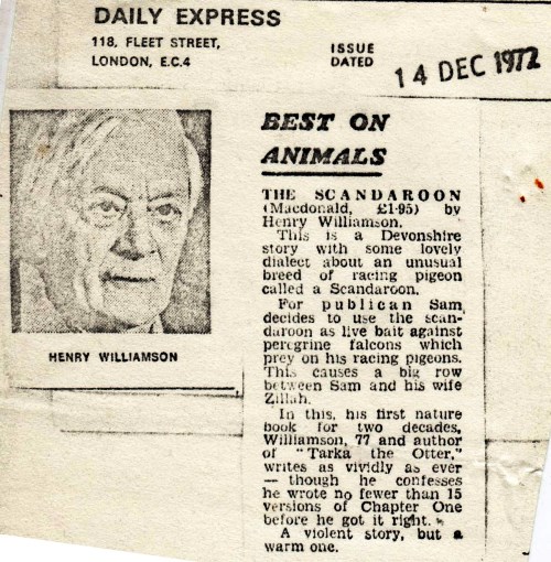 scandoon 58 Daily Express