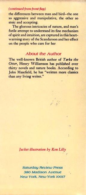 scandoon 6a US back flap