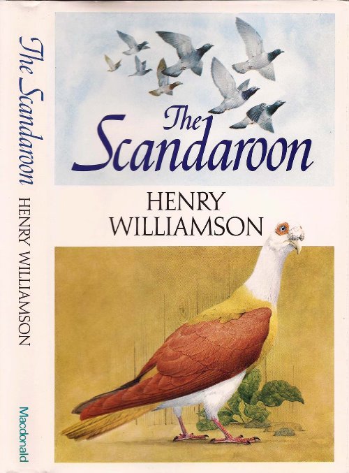 scandoon 72 cover