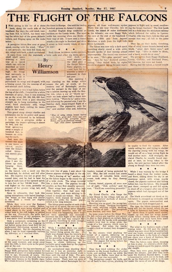 peregrine timeline 6 Evening Standard 1937