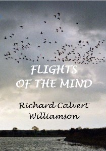 Flights of the Mind medium