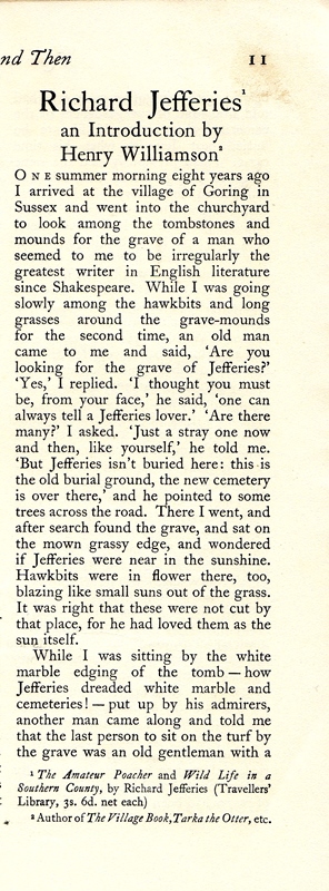 reviews nowandthen jefferies1