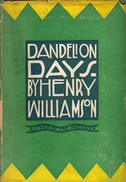 dandelion days us