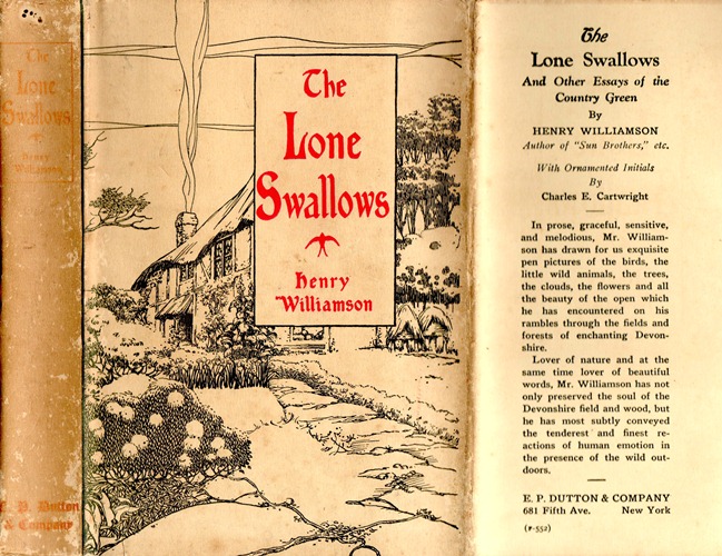 lone swallows 1926 dw