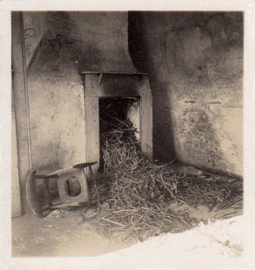nf 24 8f nest in fireplace
