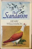 The Scandaroon