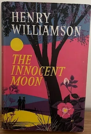 The Innocent Moon