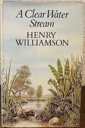 A Clear Water Stream